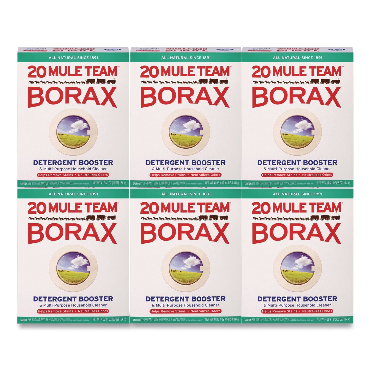 DIA00201 20 Mule Team Borax All Laundry Booster, Powder, 4 lb Box, 6 Boxes/Carton