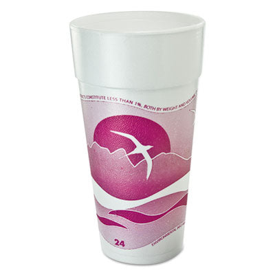 DCC24J16H Horizon Hot/cold Foam Drinking Cups, 24 Oz, Mauve, 20/bag, 25 Bags/carton