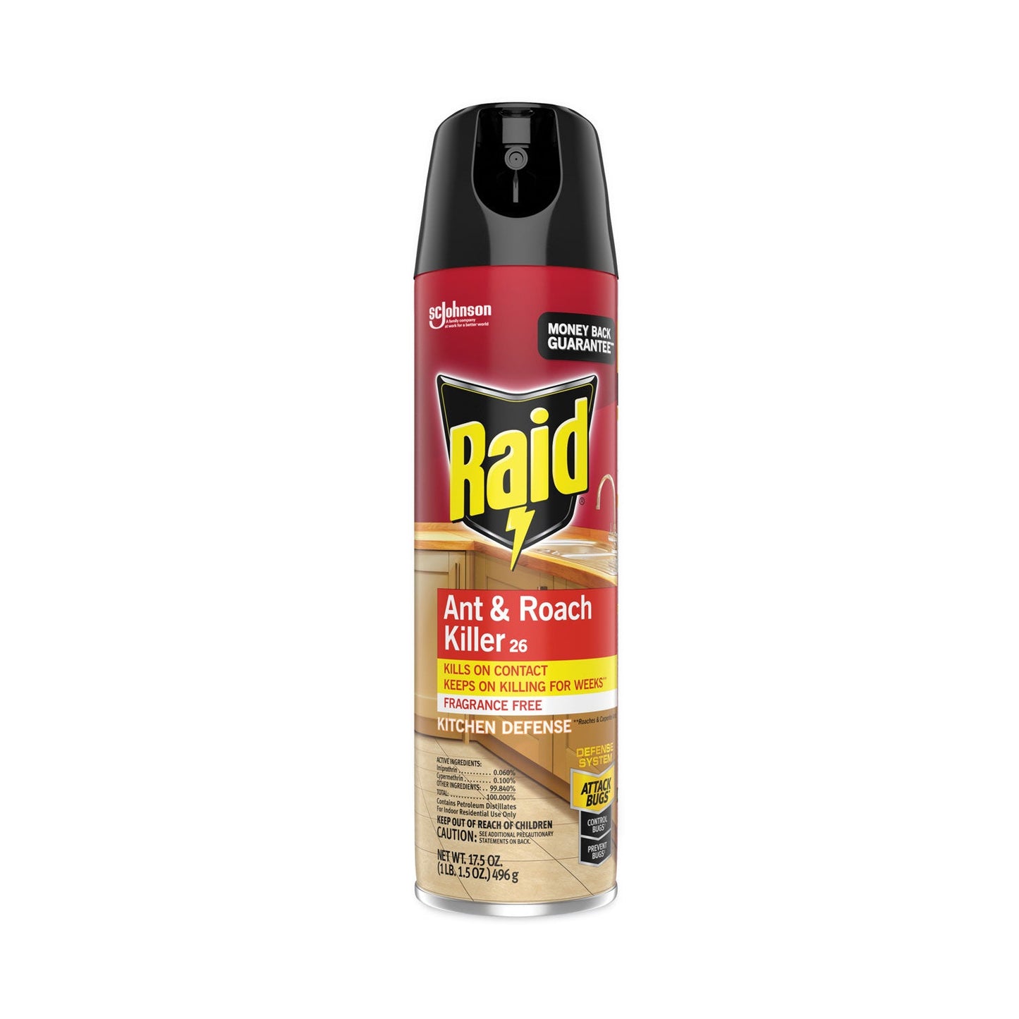 SJN369857 INSECTICIDE,RAID,ANT/RCH Raid