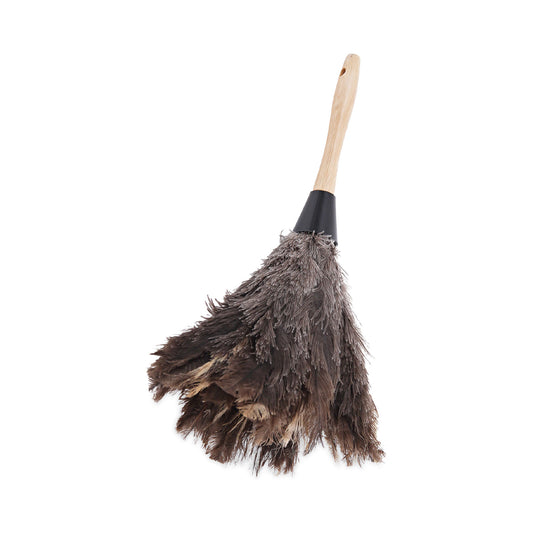 BWK14FD Professional Ostrich Feather Duster, 6" Wood Handle