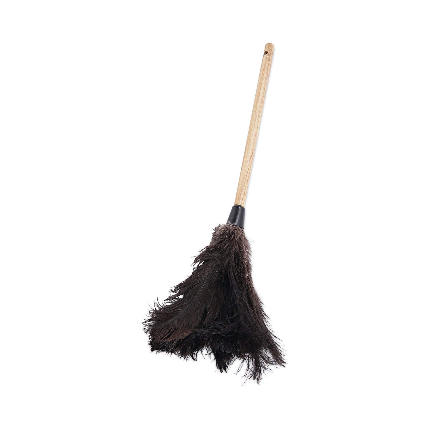 BWK20BK Professional Ostrich Feather Duster, 10" Wood Handle