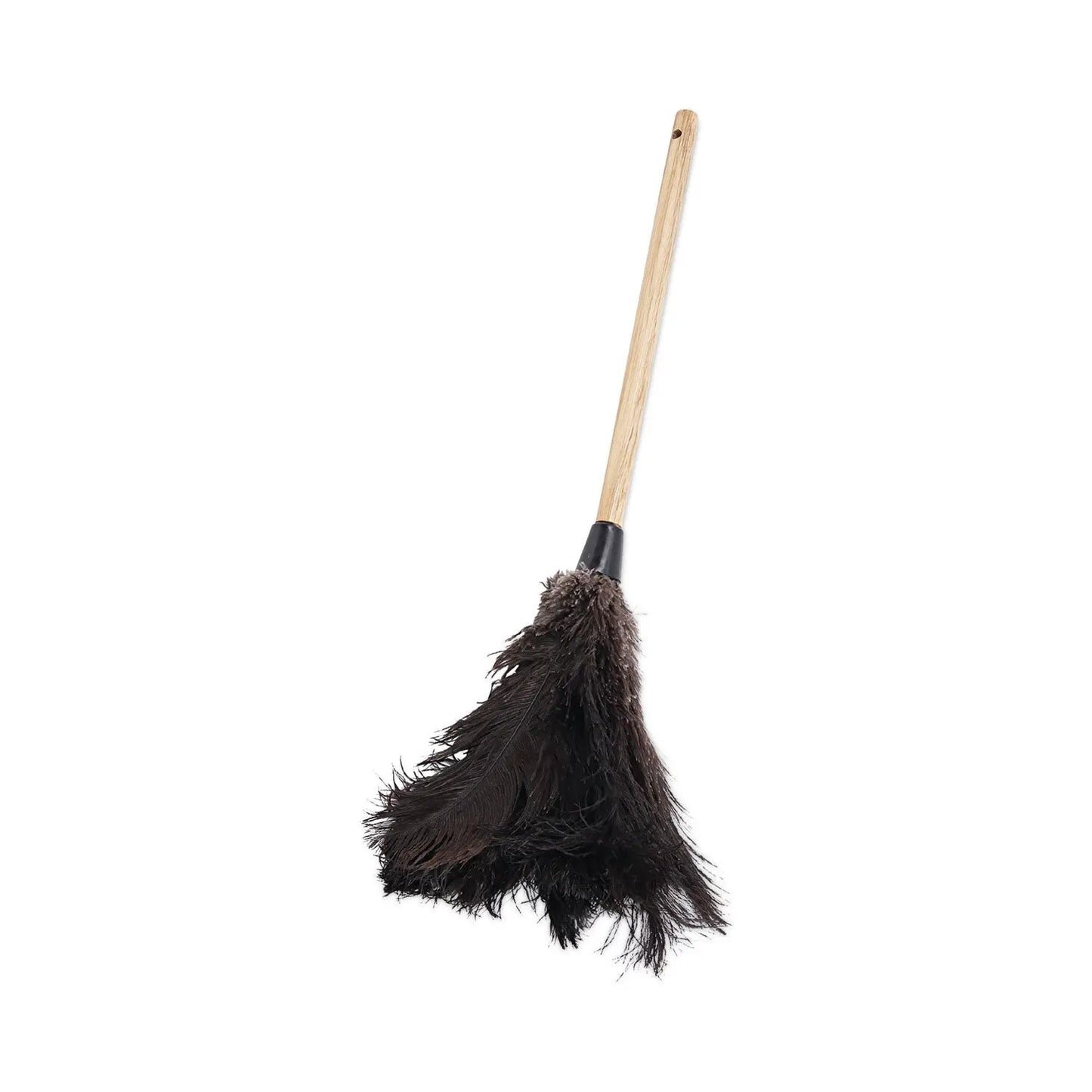BWK20BK Professional Ostrich Feather Duster, 10" Wood Handle Boardwalk
