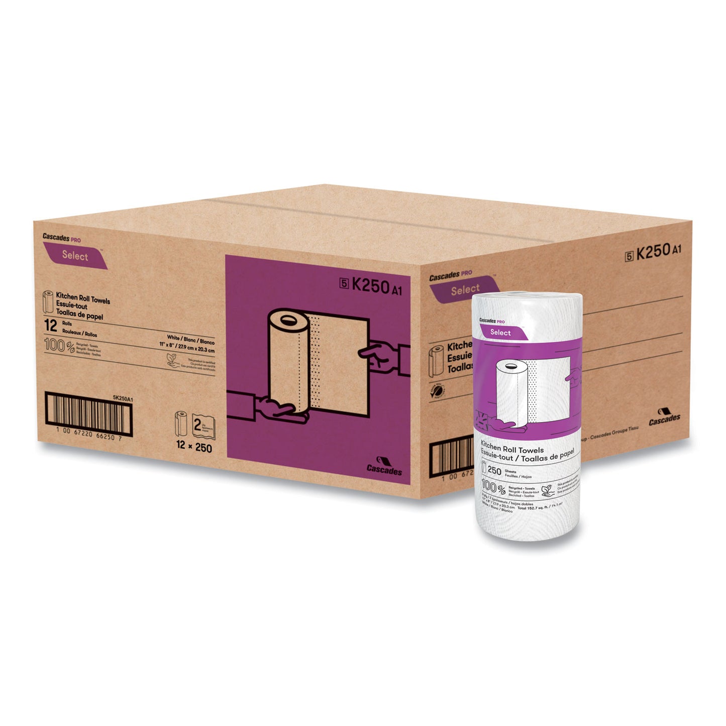 CSDK250 Select Kitchen Roll Towels, 2-Ply, 8 X 11, 250/roll, 12/carton