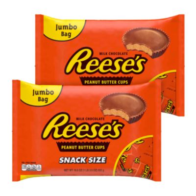 GRR60004058 Snack Size Peanut Butter Cups, 19.5 oz Bag, 2 Bags/Carton